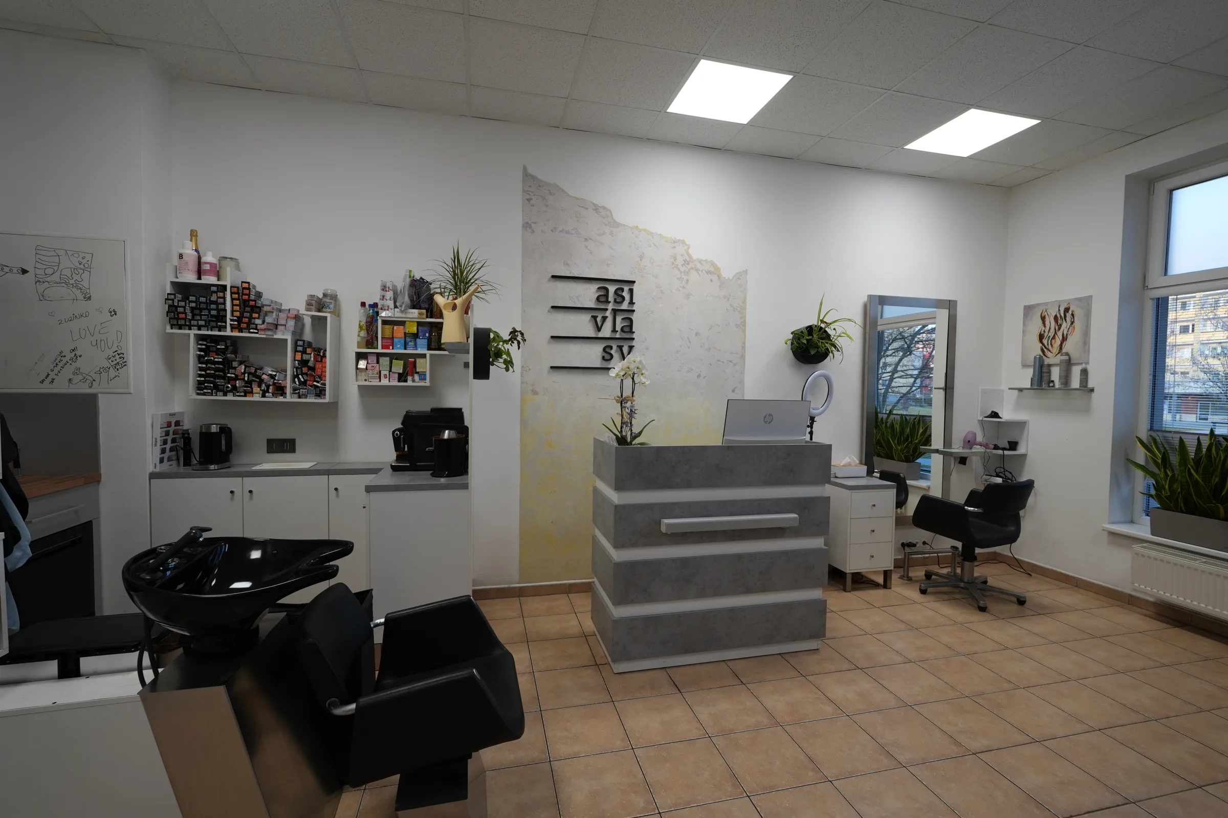 Salon Asivlasy - celkový pohled