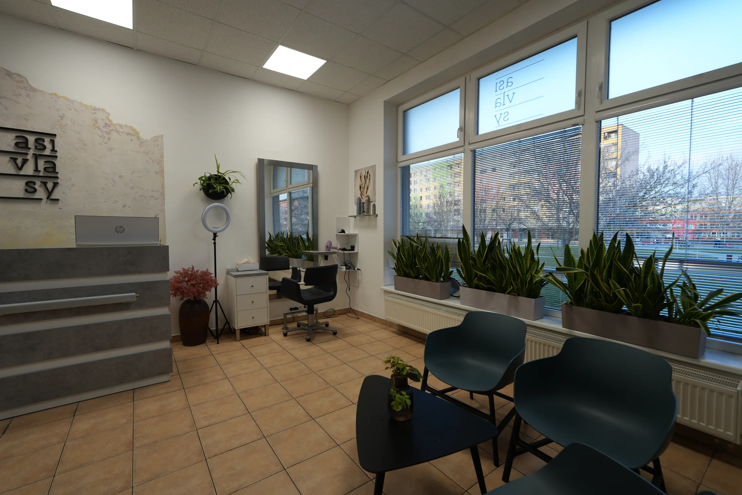 Salon Asivlasy - interiér