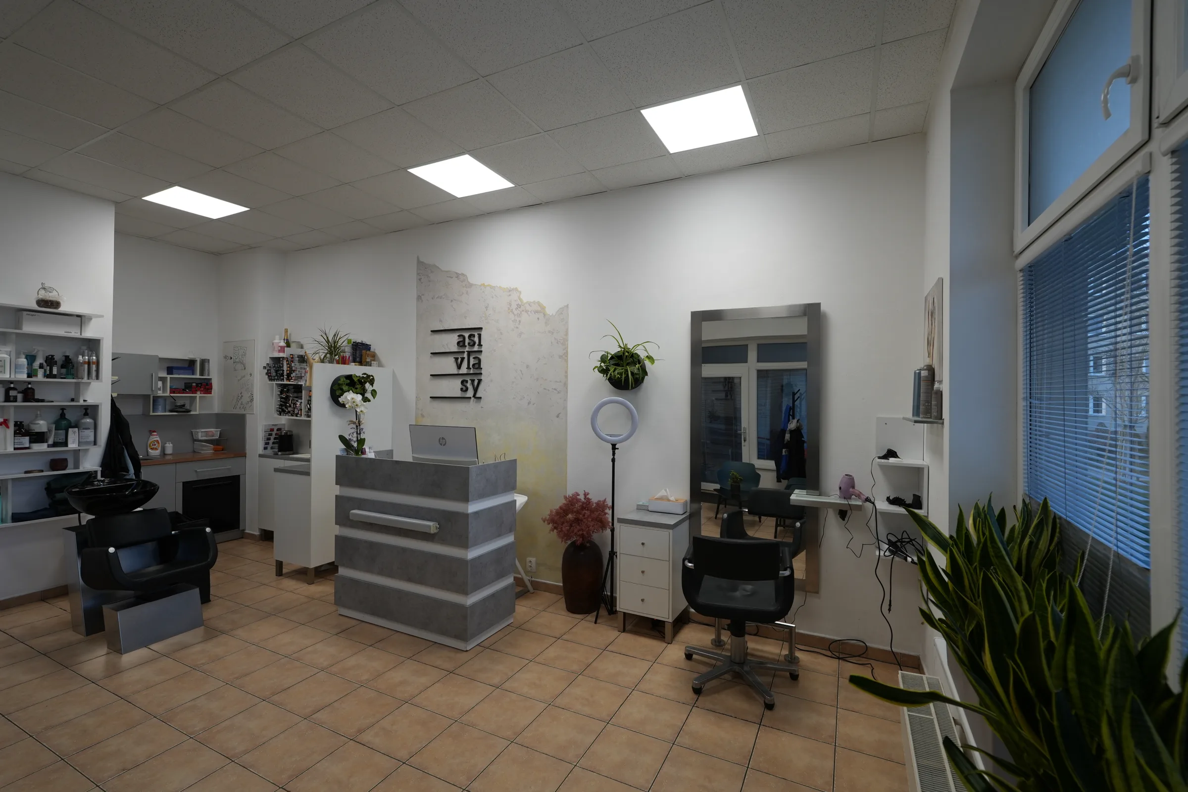 Salon Asivlasy - pracovní místo